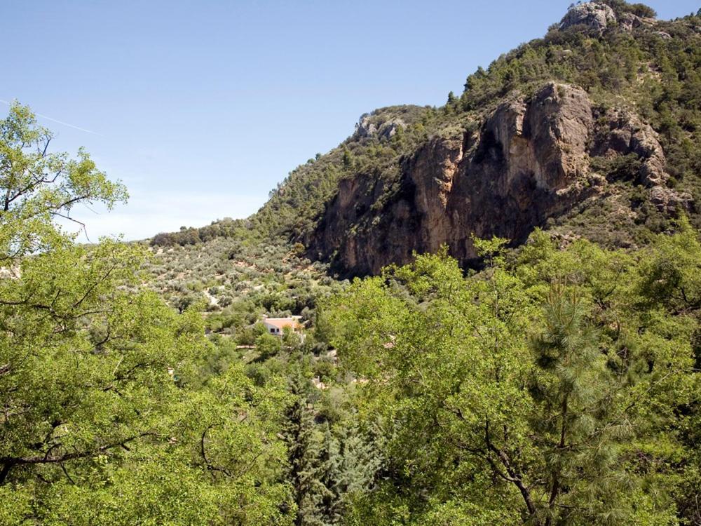 Casa Rural Arroyo Rechita ξενώνας La Iruela Δωμάτιο φωτογραφία