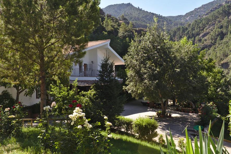 Casa Rural Arroyo Rechita ξενώνας La Iruela Εξωτερικό φωτογραφία